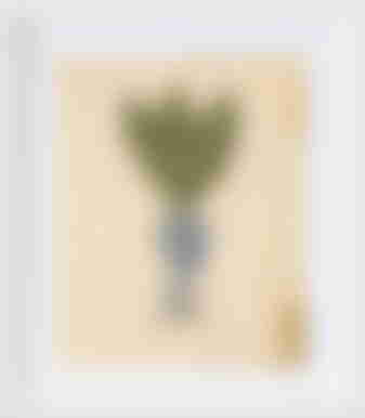 Blue Root print
