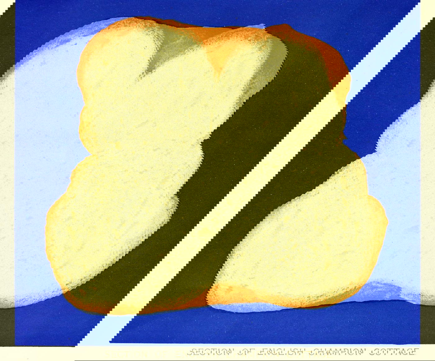 Illustration of bread