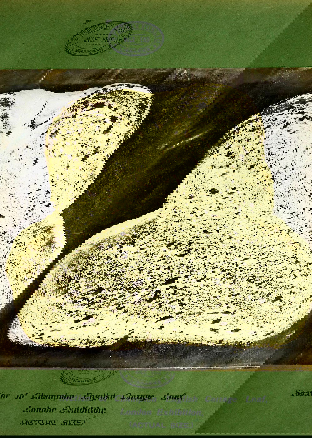 Illustration of bread