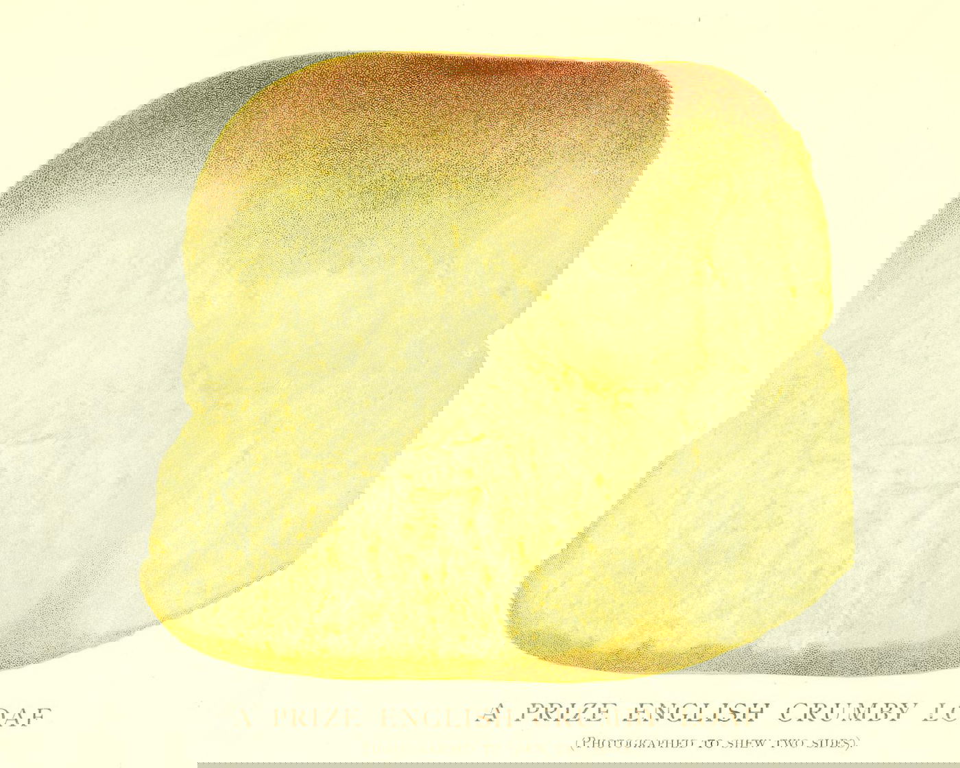 Illustration of bread
