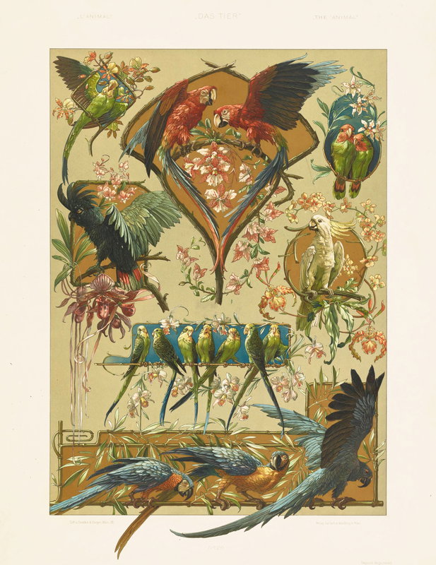 Untitled Image by Anton Seder from Das Thier in der Dekorativen Kunst (1896)