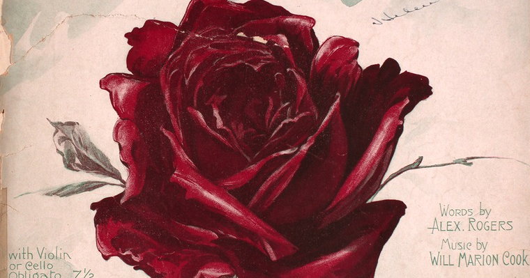 Alex Rogers and Will Marion Cook, “Red Red Rose” (1908) | Public Domain ...