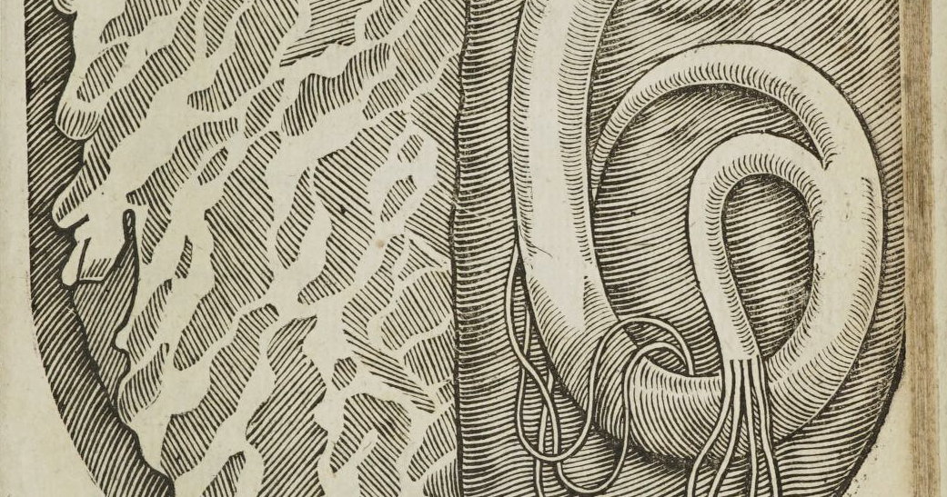 ‘The Cardiac Serpent Curled in John Pennant’s Left Ventricle’ by Edward ...