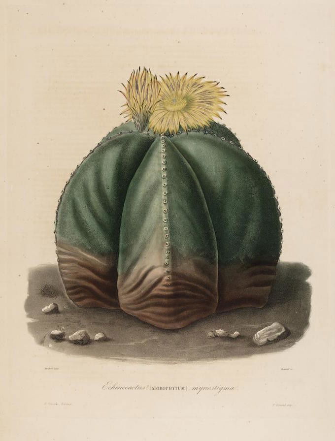 mobot31753002718697_0034