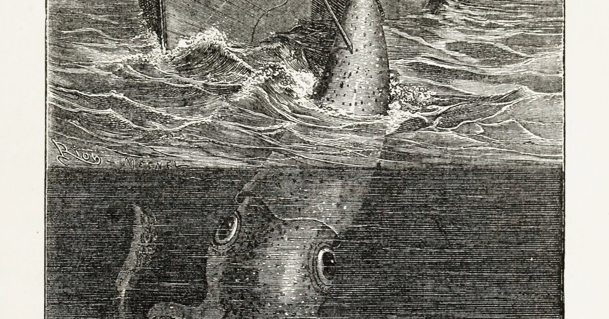 ‘Gigantic Calamary Caught by the French Despatch Vessel Alecton, Neear ...