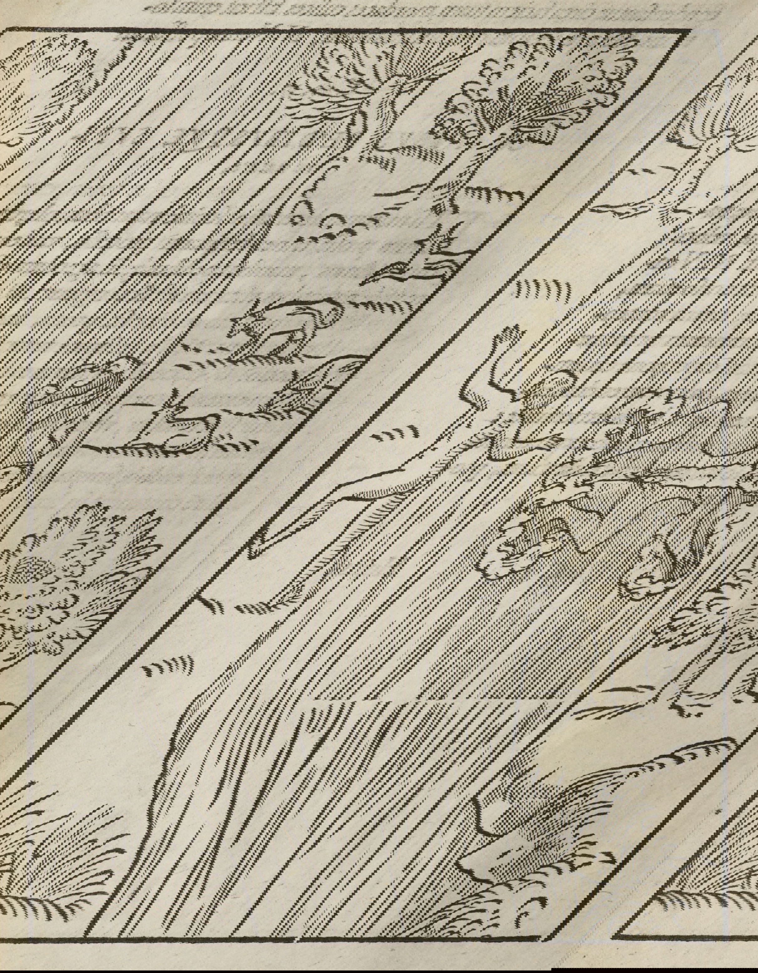 Woodcut of swimming figures