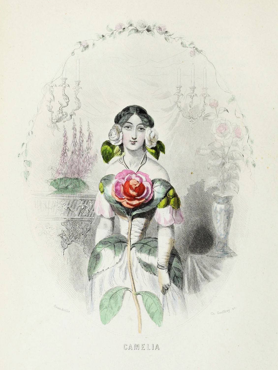Camellia ' by J. J. Grandville from The Flowers Personified (1849
