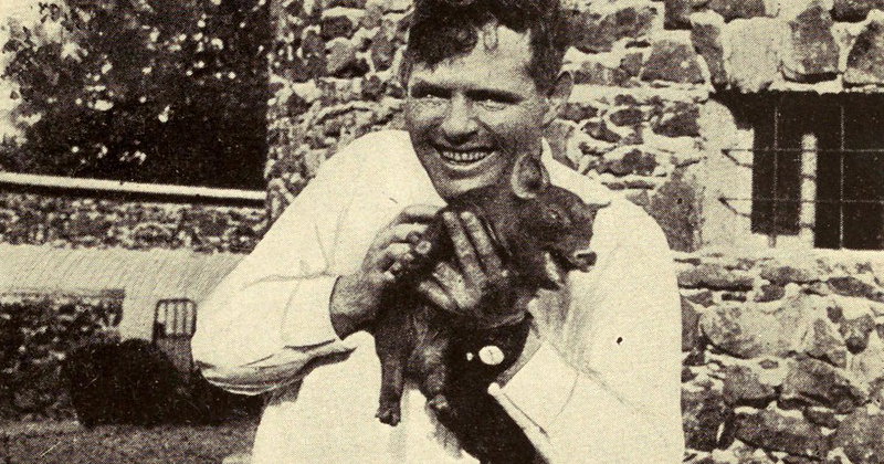 Jack London, With Pig, Six Days Before He Died]’ by Charmian London ...