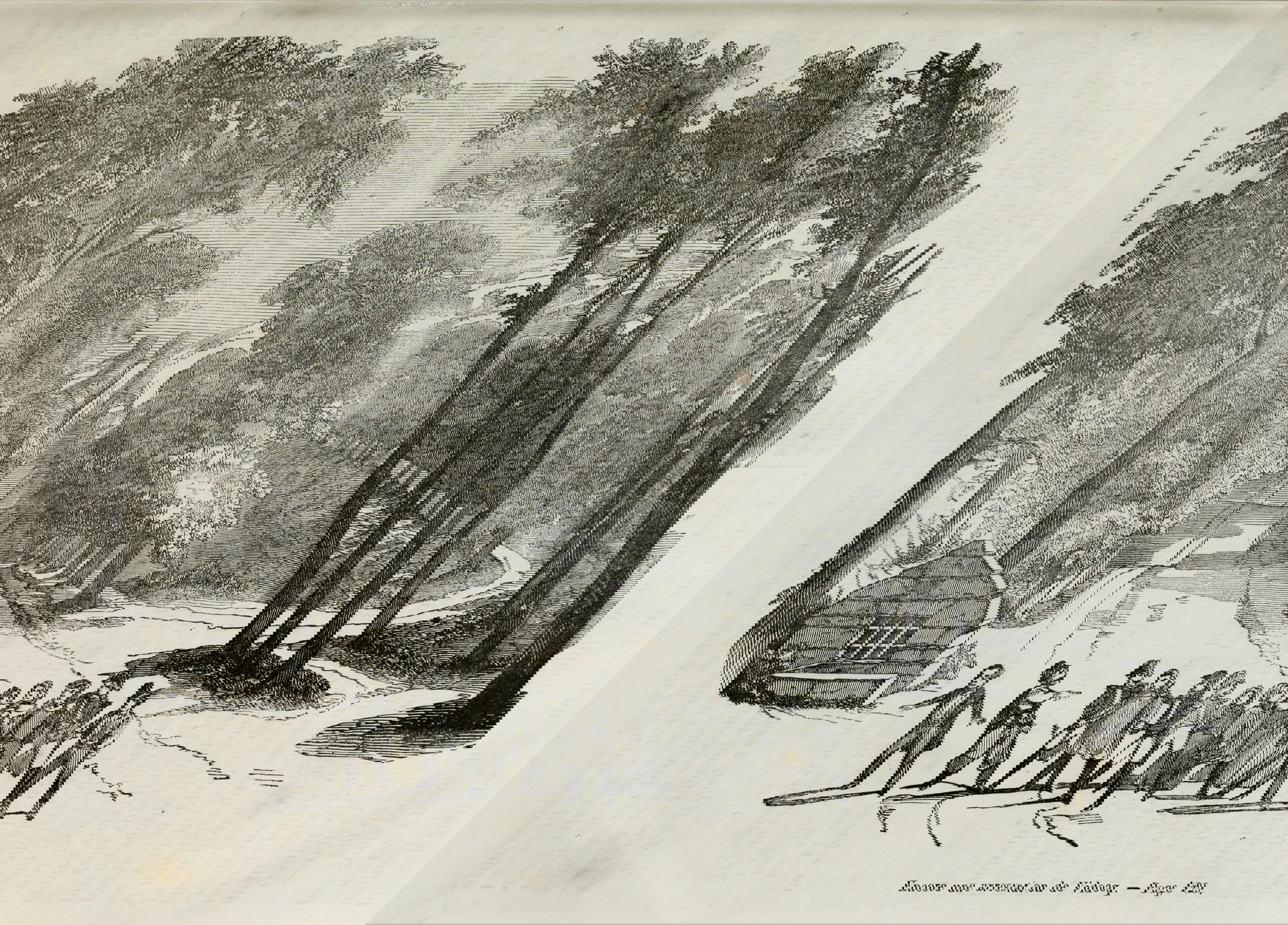 Black and white etching titled ‘Encore une arrestation de Vidocq,’ showing a group of men escorting a handcuffed individual down a tree-lined country road, with a small hut on the left and the road winding into the distance surrounded by dense foliage.