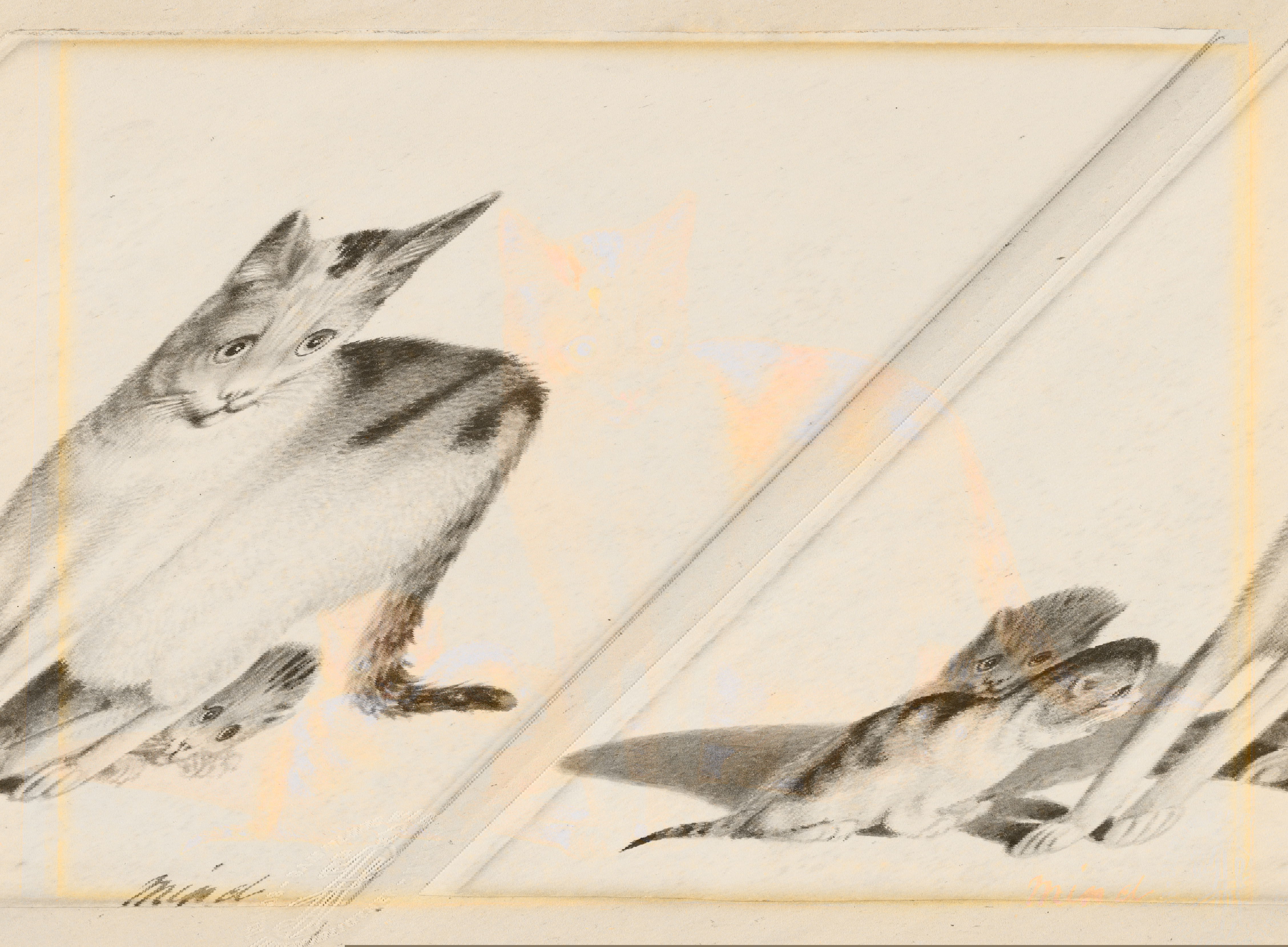 A mother cat stands protectively with her three kittens huddled close to her, all looking in different directions.