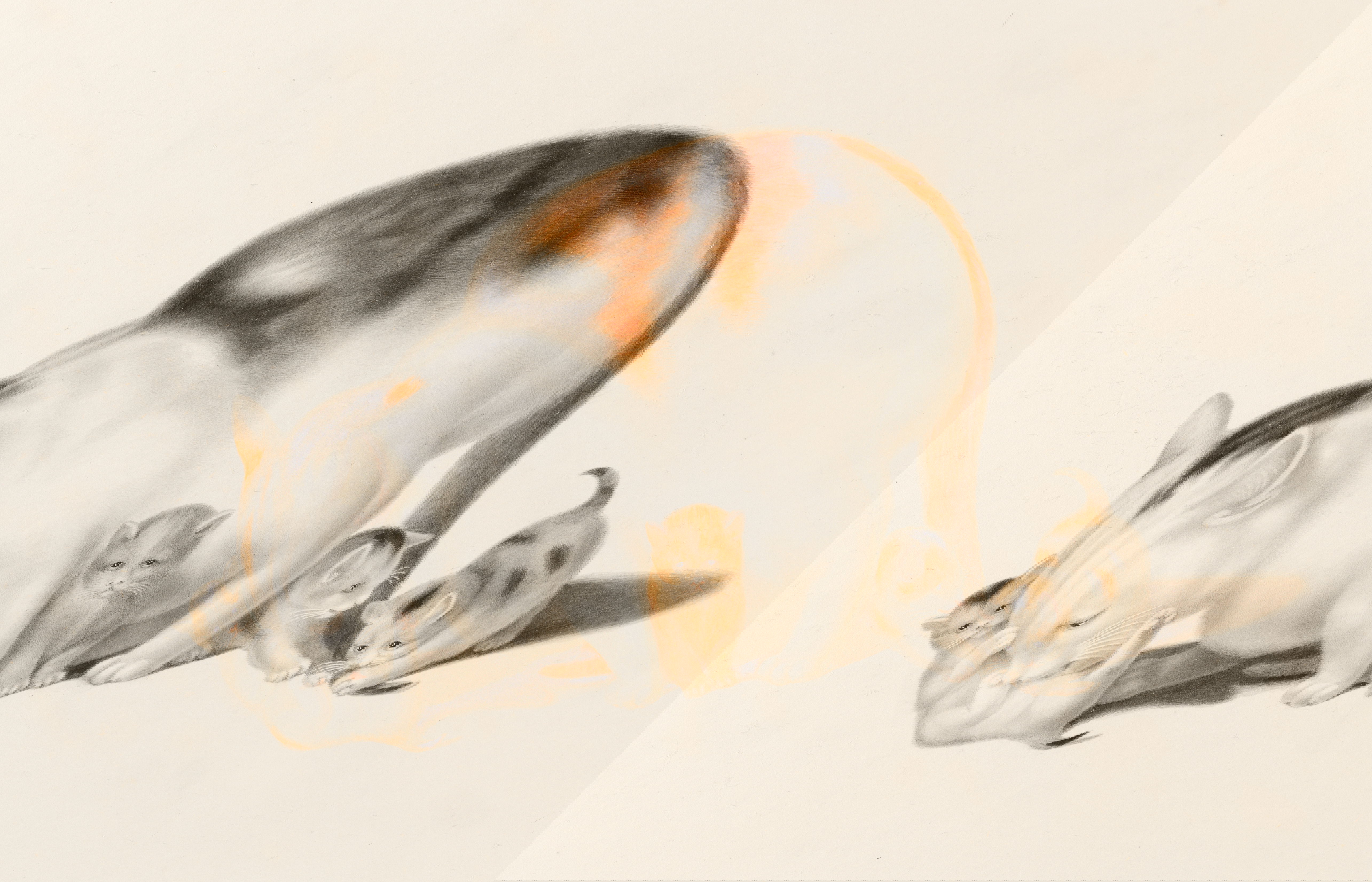 A mother cat cleans one of her kittens while three others sit and play nearby, observing their surroundings.