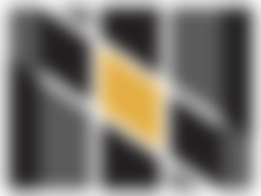 Digital Maryland logo