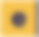 e-manuscripta logo