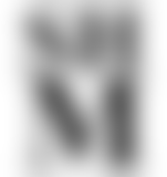 Statens Historiska Museer logo