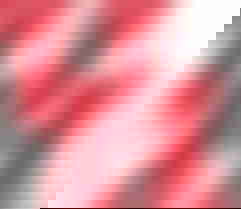 University of Houston Digital Library logo