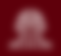 University of South Carolina logo