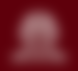 University of South Carolina logo