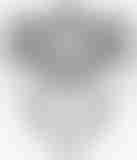 University of Southern California Libraries logo