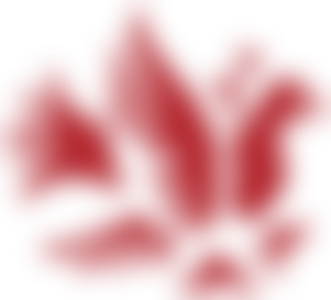 Upplandsmuseet logo